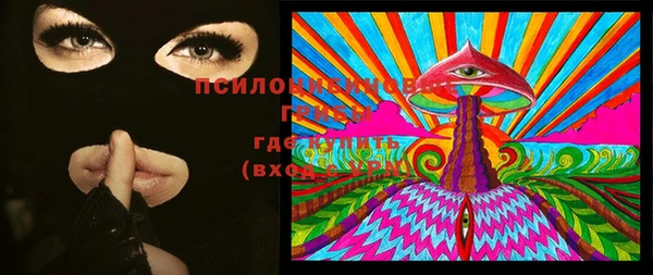МДПВ Нефтегорск
