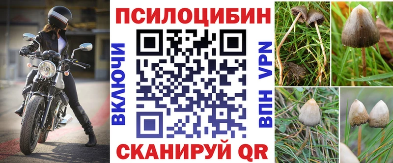 Галлюциногенные грибы Psilocybe KRAKEN как войти Таганрог